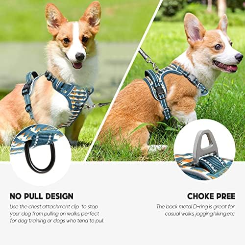 Timos Dog Harness Medium Sized, Quick Release 3 Buckles, Sunset Valley - Image 2