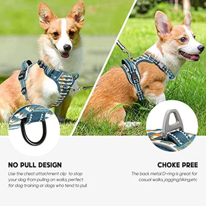 Timos Dog Harness Medium Sized, Quick Release 3 Buckles, Sunset Valley - Image 2