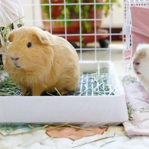 PODOO Rabbit Litter Box – Training Potty Tray - Image 2