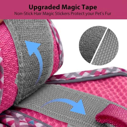 AIITLE Breathable Dog Harness Small Sized and Leash Set - Image 2