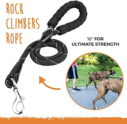 Mighty Paw Double Dog Leash - Image 3