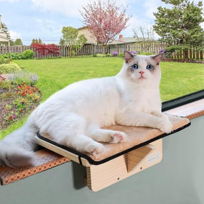 Petsfit Cat Window Perch Natural Solid Wood by Petsfit