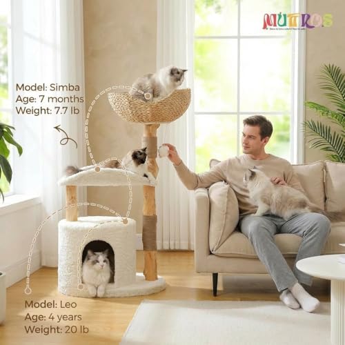 MUTTROS Modern Wood Cat Tree for Large Cats - Image 2