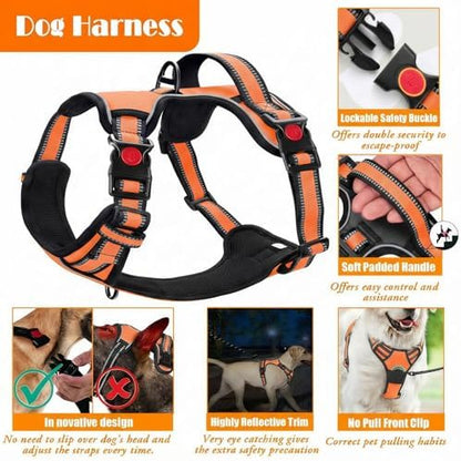 LOBEVE No Pull Dog Harness, Collar & Leash Set - Image 4
