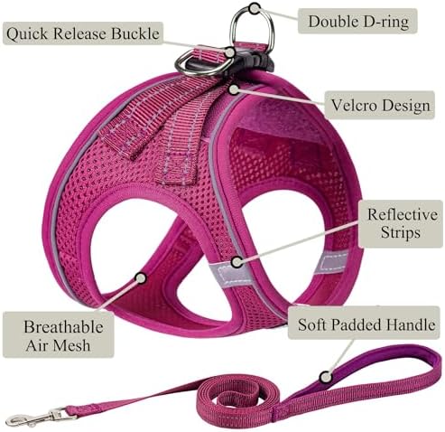 Dog Harness with Leash Set, Step-in Adjustable Puppy Vest, Rose Red XL - Image 2