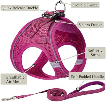 Dog Harness with Leash Set, Step-in Adjustable Puppy Vest, Rose Red XL - Image 2