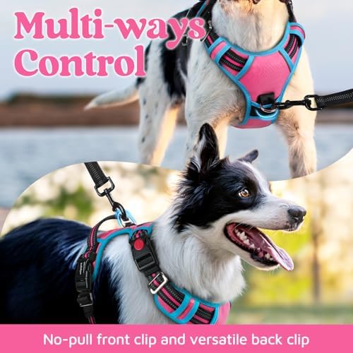 rabbitgoo Dog Harness for Large, No Pull 3 Buckles Easy On & Off - Image 3