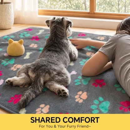 Luciphia 1 Pack 3 Blankets Fluffy Premium Fleece Pet Blanket Flannel Paw Bone - Image 3