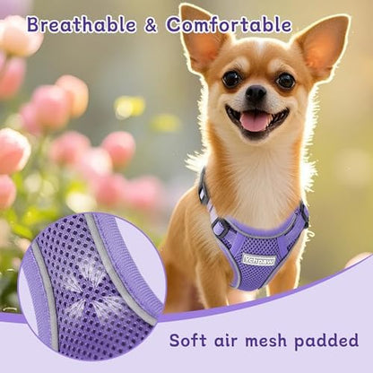 Small Dog Harness and Leash Set, Adjustable Small Sized Pet Vest - Image 5