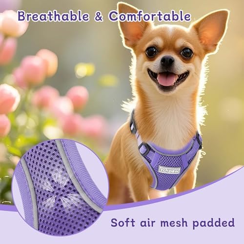 Small Dog Harness and Leash Set, Adjustable Small Sized Pet Vest - Image 5
