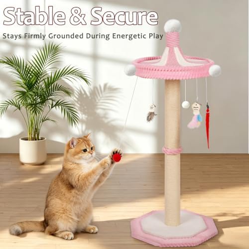 Carousel Cat Scratching Post - Image 4