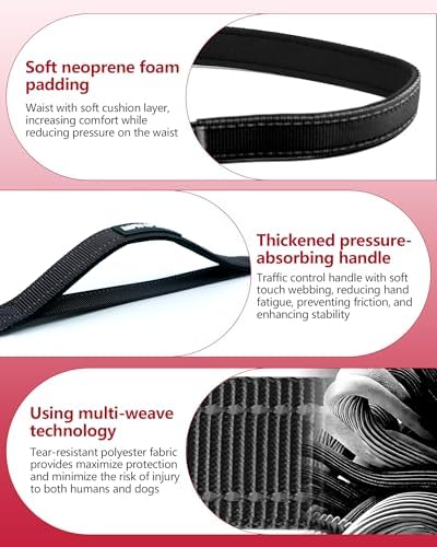 Hands Free Dog Leash - Image 4