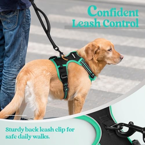 rabbitgoo Dog Harness, No Pull for Small Dogs - Image 6
