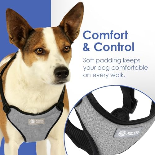 AKC Premium Padded Step-in Dog Harness – Soft Comfort Fit - Image 4