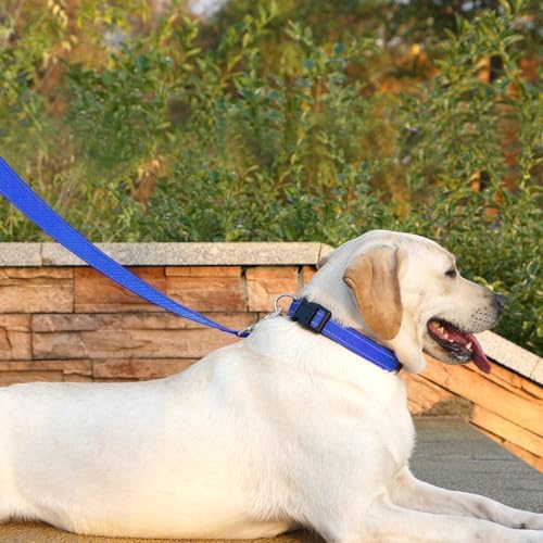 6 FT Basic Dog Leash for Small Dogs, Padded Handle - Image 3