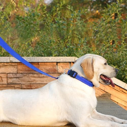 6 FT Basic Dog Leash for Small Dogs, Padded Handle - Image 3