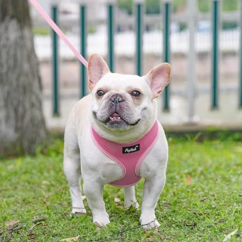 PUPTECK Small Dog Harness and Leash Set No Pull - Image 6