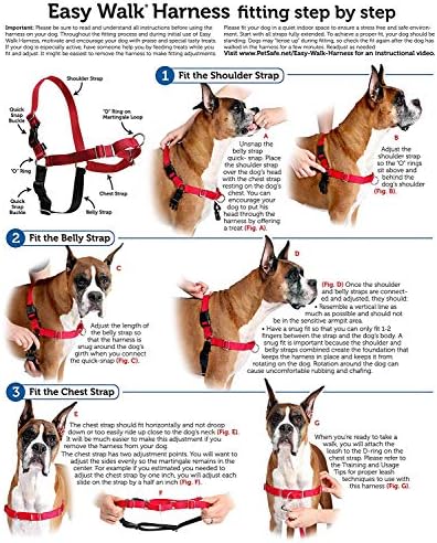 PetSafe Easy Walk No-Pull Dog Harness - Image 4