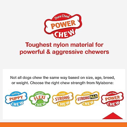 Nylabone Textured Ring Power Chew Toy - Image 4