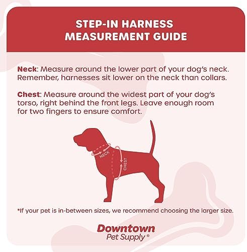 Downtown Pet Supply Step-in Dog Harness – No Pull, Adjustable Padded Mesh - Image 2
