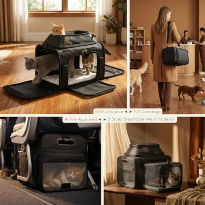 Top-Side Expandable Pet Carrier, Treat Window - Image 5