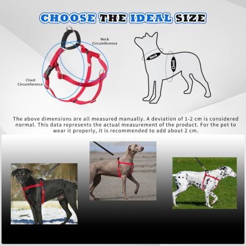 Freedom No Pull Dog Harness - Image 3