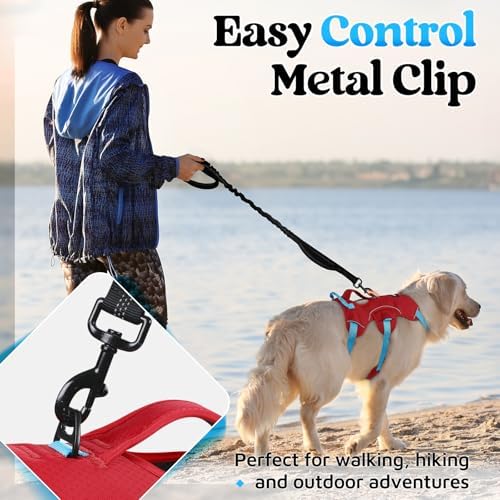 rabbitgoo Escape Proof Dog Harness - Image 5