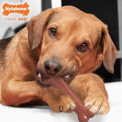 Nylabone Power Chew Original Bone Dog Chew Toys - Image 4