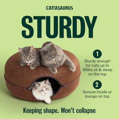 Cattasaurus Peekaboo Cat Cave Donut - Image 4