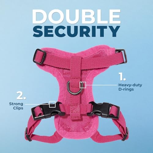 Voyager Step-in Lock Cat Harness & Leash Set - Image 2