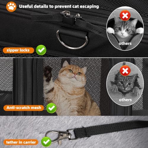 pidipiti 24x17x17 Large Expandable pet Carrier - Image 5
