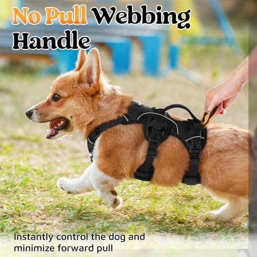 rabbitgoo Escape Proof Dog Harness - Image 4