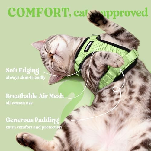 rabbitgoo Cat Harness and Leash Set, Escape Proof Vest, Light Green - Image 4