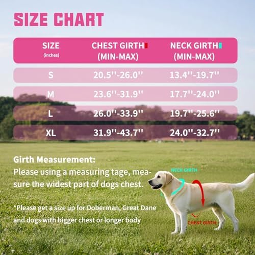 AUROTH Dog Harness and Leash Set - Image 6