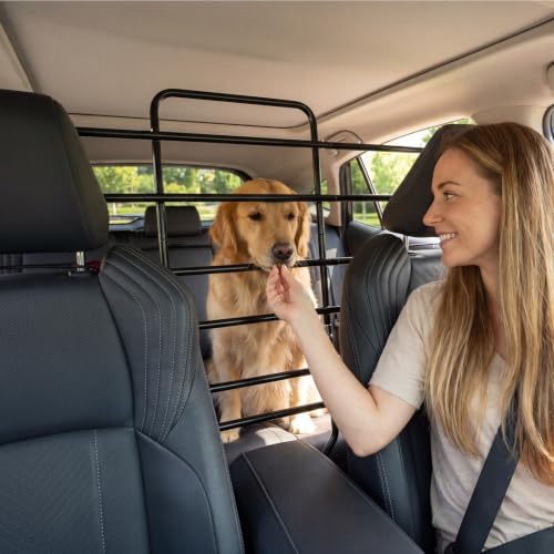 Dog Car Barrier by Unknown