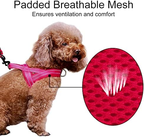 Plutus Pet No Pull Dog Harness for Large Dogs, Breathable Mesh Padded - Image 3