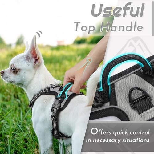 Eagloo Dog Harness for Small Dogs, No Pull Pet Vest - Image 5