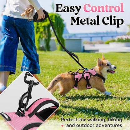 rabbitgoo Escape Proof Dog Harness - Image 5