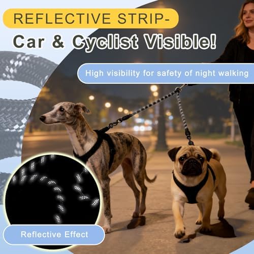 Dual Dog Leash - 360° Swivel No Tangle Walking Leash, Detachable Design - Image 3