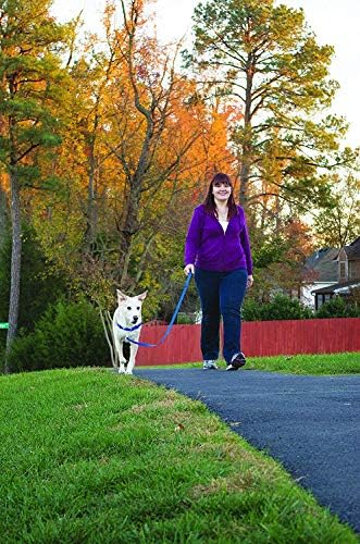PetSafe Easy Walk No-Pull Dog Harness - Image 5