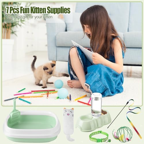 Tioncy 7 Pcs Kitten Litter Box Starter Kit - Image 6