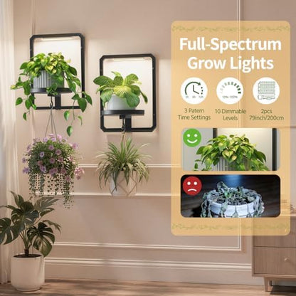 LASZOLA Plant Picture Frame Holder Shelf Wall - Image 3