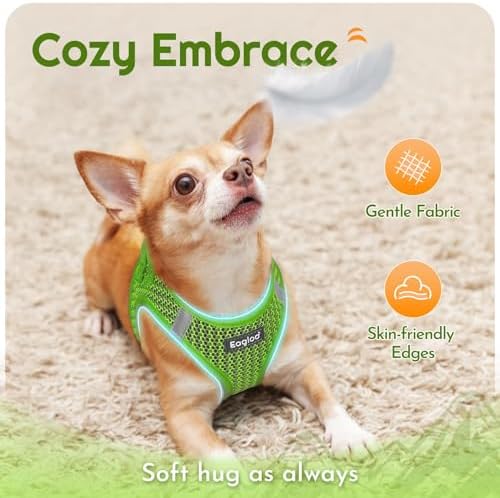 Eagloo Small Dog Harness and Leash Set, Step in Small Sized Puppy Pet Vest - Image 4