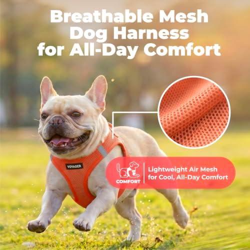 Voyager Step-in Air Dog Vest Harness - Image 5
