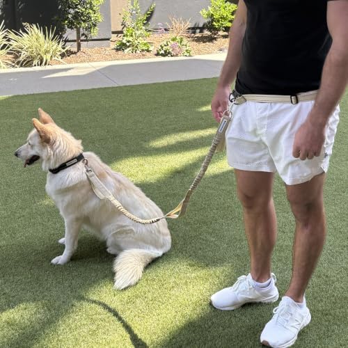 Shed Defender Hands Free Dog Leash Belt - Image 2