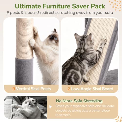 Globlazer Heavy Duty Cat Tree for Large Cats, 25.5in Wide Top Perch - Image 6