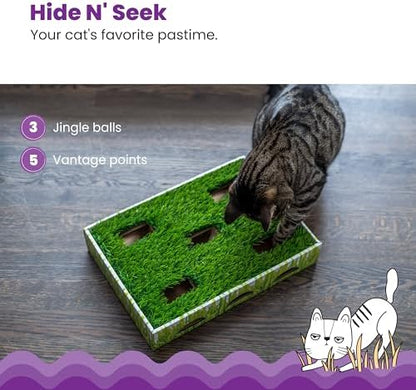 Catstages Grass Patch Hunting Box Cat Toy, Faux Grass & 3 Balls - Image 5
