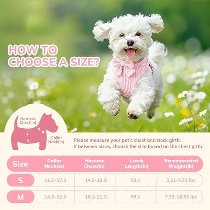 Small Dog Collar Harness and Leash Set, Dog Harness no Pull - Image 2