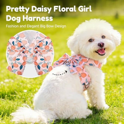 BAEJMJK Dog Harness and Leash Set - Image 2