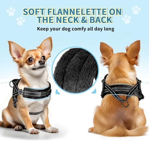 SlowTon No Pull Small Dog Harness and Leash Set - Image 2